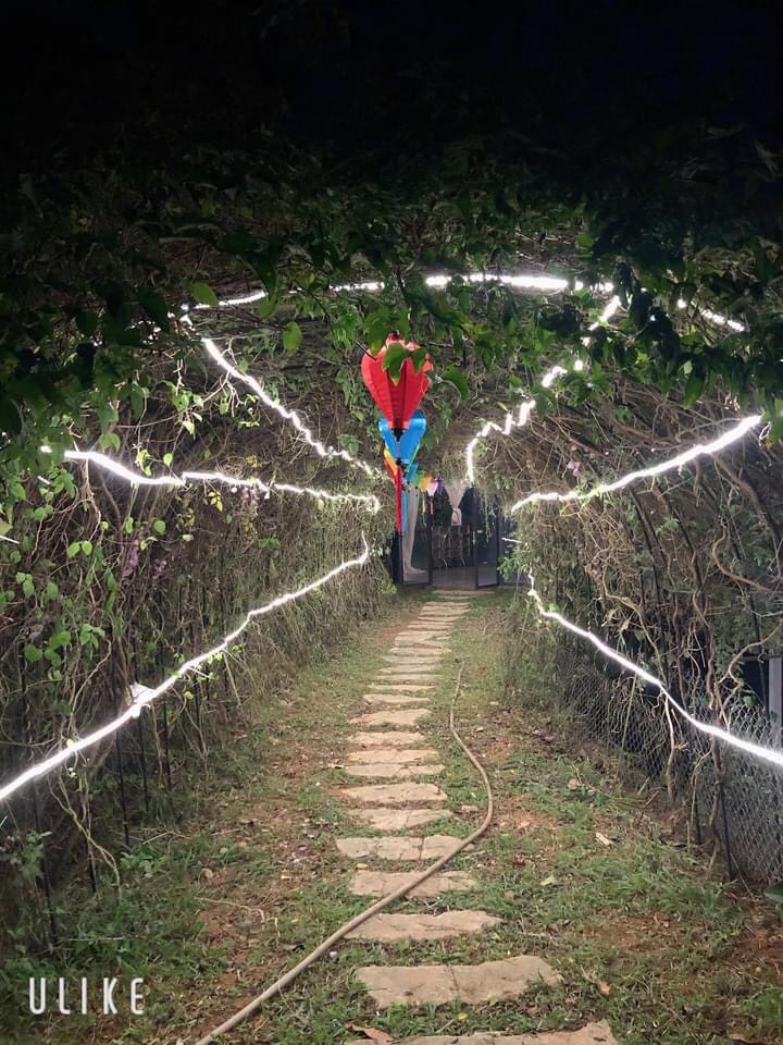 Cung cấp Full các hạng mục chiếu sáng tại Gia Trịnh Eco Farm Ba Vì